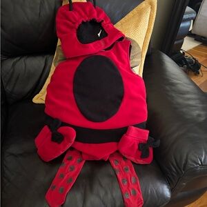 The Children's Place Red and Black Ladybug Costume